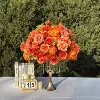 FB1079-Arancione