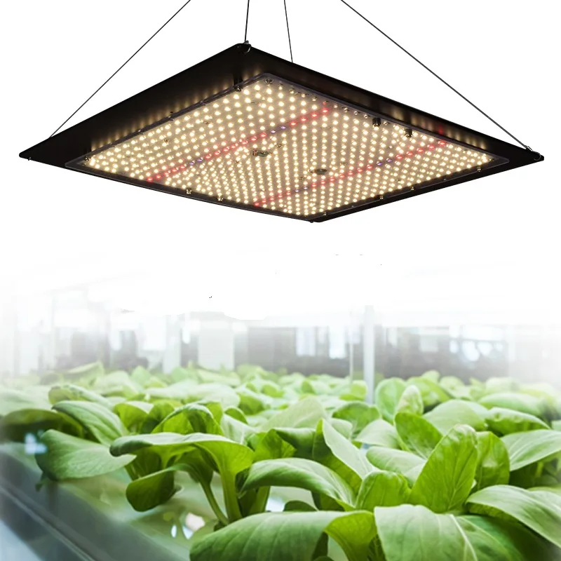 led grow light outlet