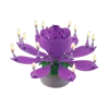 Pourpre