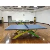Pisces Dream 2 Pool Table