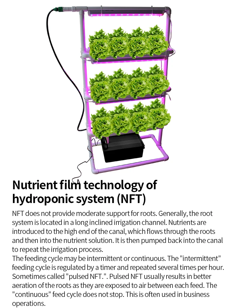 Nft Home Hydroponics System With Grow Light Complete 24pcs Net Cup