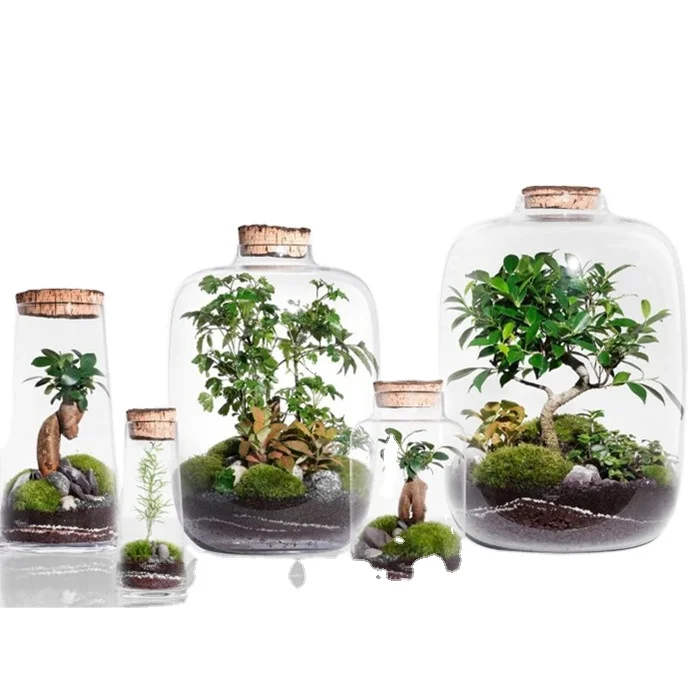 New Design Custom Made Hand-blown Clear Glass DIY Terrarium Bottle for Indoor Gardening With Cork Lid