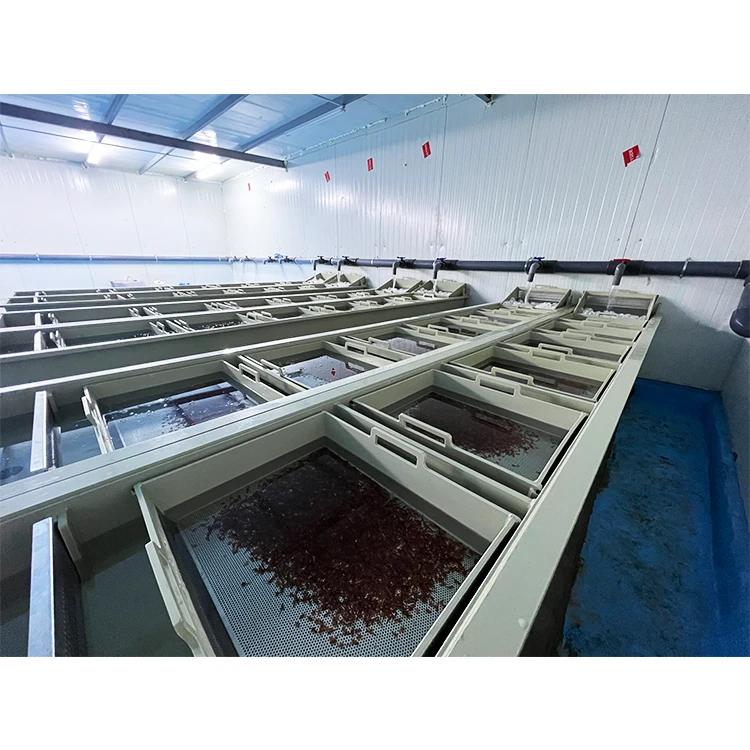 Alibaba.com: Automatic fish hatchery equipment, catfish hatchery RAS ...