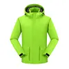 Vert fluorescent