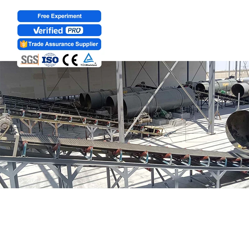 LANE Dissolve Quartzite and Sodium Chloride Together to Produce Potassium Compound Fertilizer Mop Fertilizers Production Line
