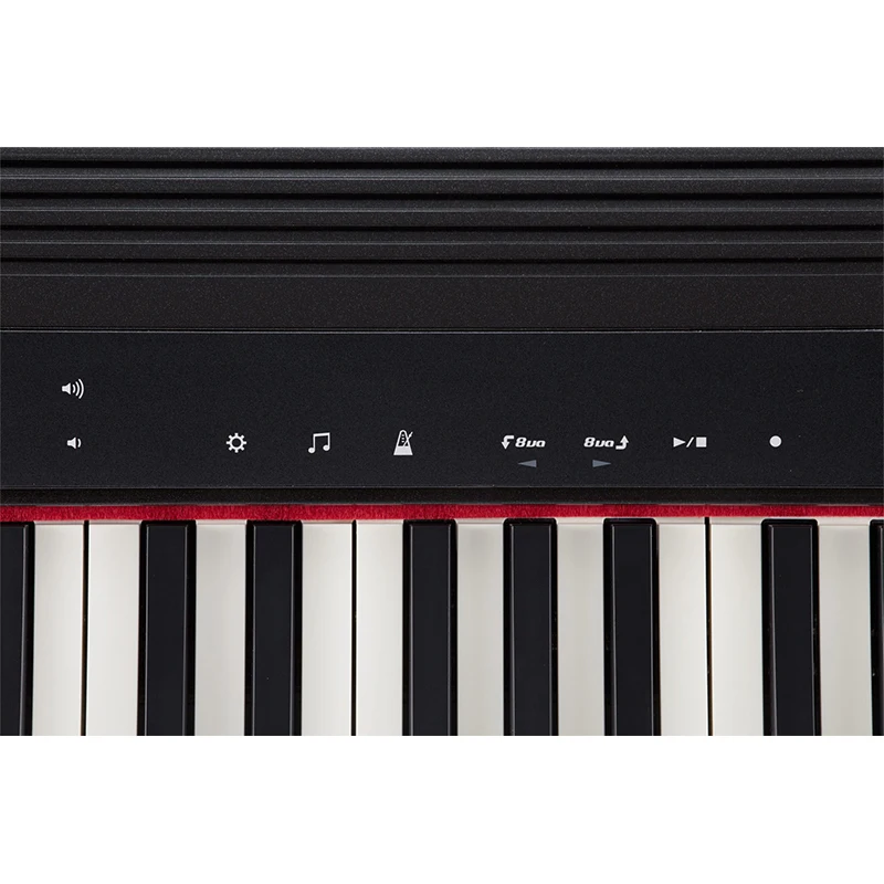 Roland GO-61P Digital Piano - 61 Keys, Solid Wood Keyboard
