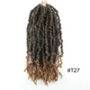 # T1B/27 Pre Twisted Pasión Twist