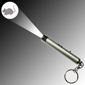 Factory Supply Custom LOGO Projected Metal Flashlight Keychain for Holiday Promotional Gifts and Toys