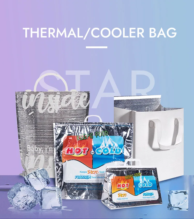 Aluminum Foil Foam Padded Theraml Insulation Bags Medicine Cooler Shipping Bags Buy Thermal