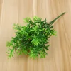 Lucky Bamboo