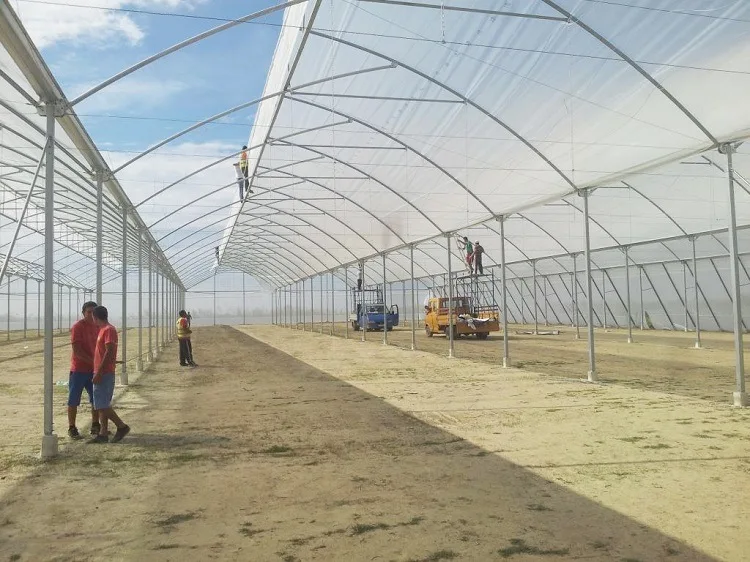 multi span sawtooth greenhouse