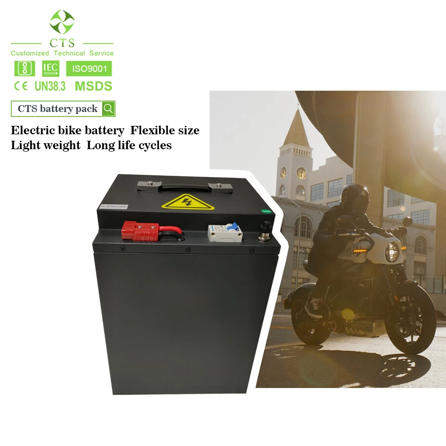 Batteria E-bike Unit Pack Power 48V 20Ah – Ioni Di Litio Per Motori Fino A 3000W, Con Caricabatterie