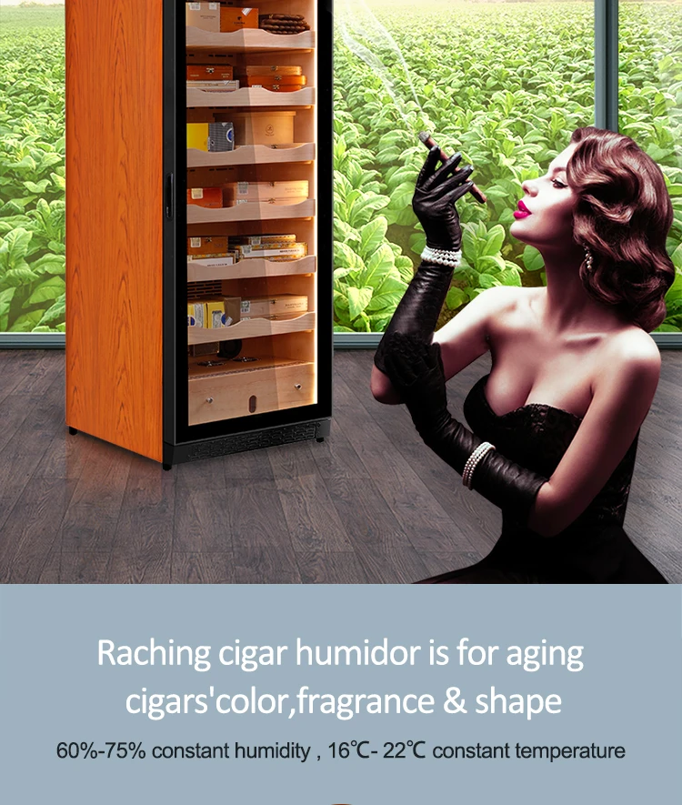 C380A Electronic Humidor Cabinet