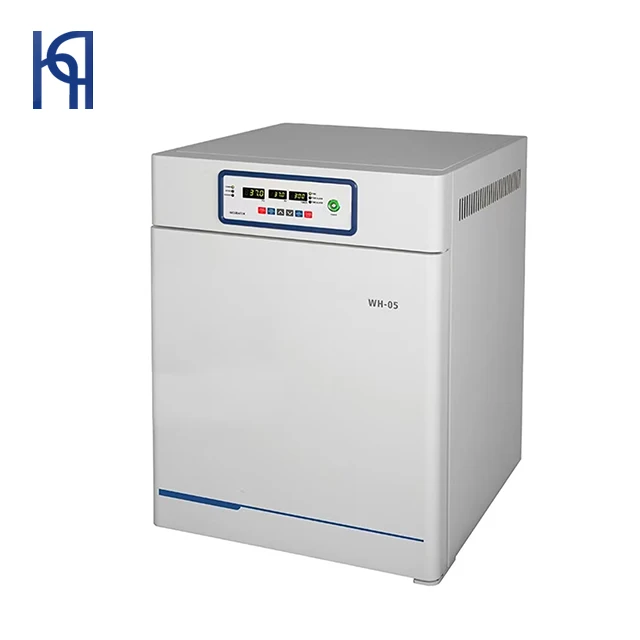 Laboratory Digital Constant Temperature Incubator Wh05 Buy Constant