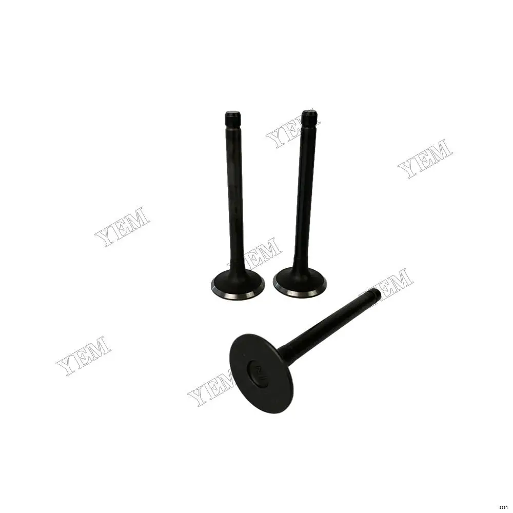 D1101 Inlet Valves Kit for Kubota