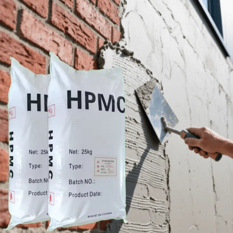Hpmc 200000 Powder for Adhesive Cement Hpmc Para Detergente Chemical Hpmc Powder Supplier Powder Wall Putty