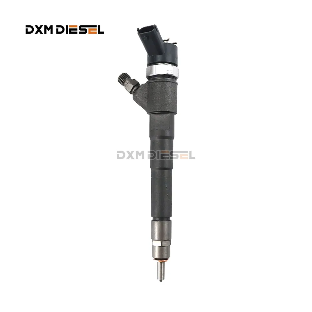 New Common Rail Fuel Injector 0445110273 0986435165 For Fiat Ducato 120 130 Iveco Daily 29L10 manufacture