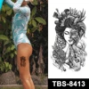 TBS-8413