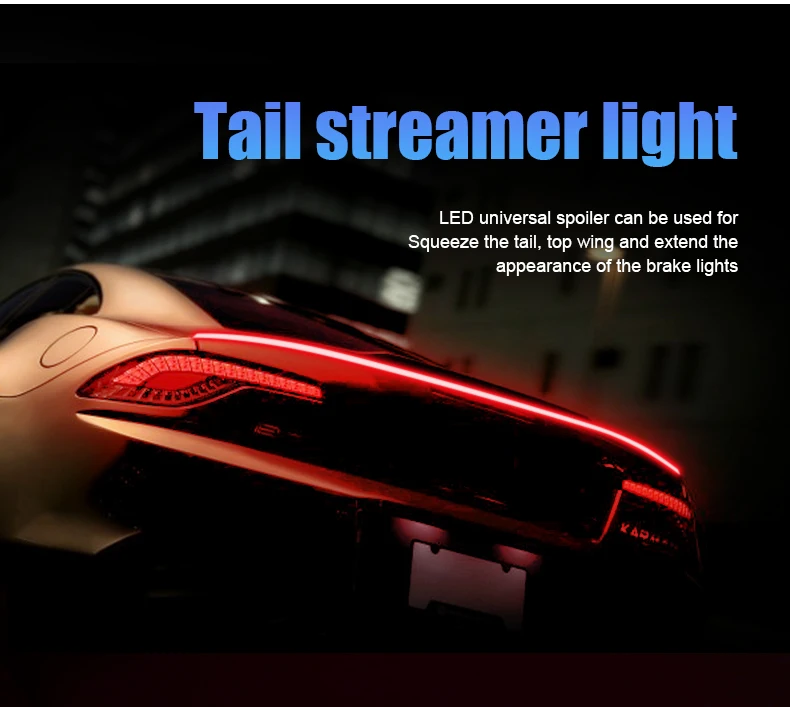 12V Carbon Fiber Waterproof Flow Spoiler Rear Lamp - LED