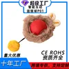 สีแดง