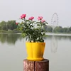 Giallo