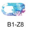 Couleur B1-S8 (pas de paquet)