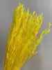 Amarillo