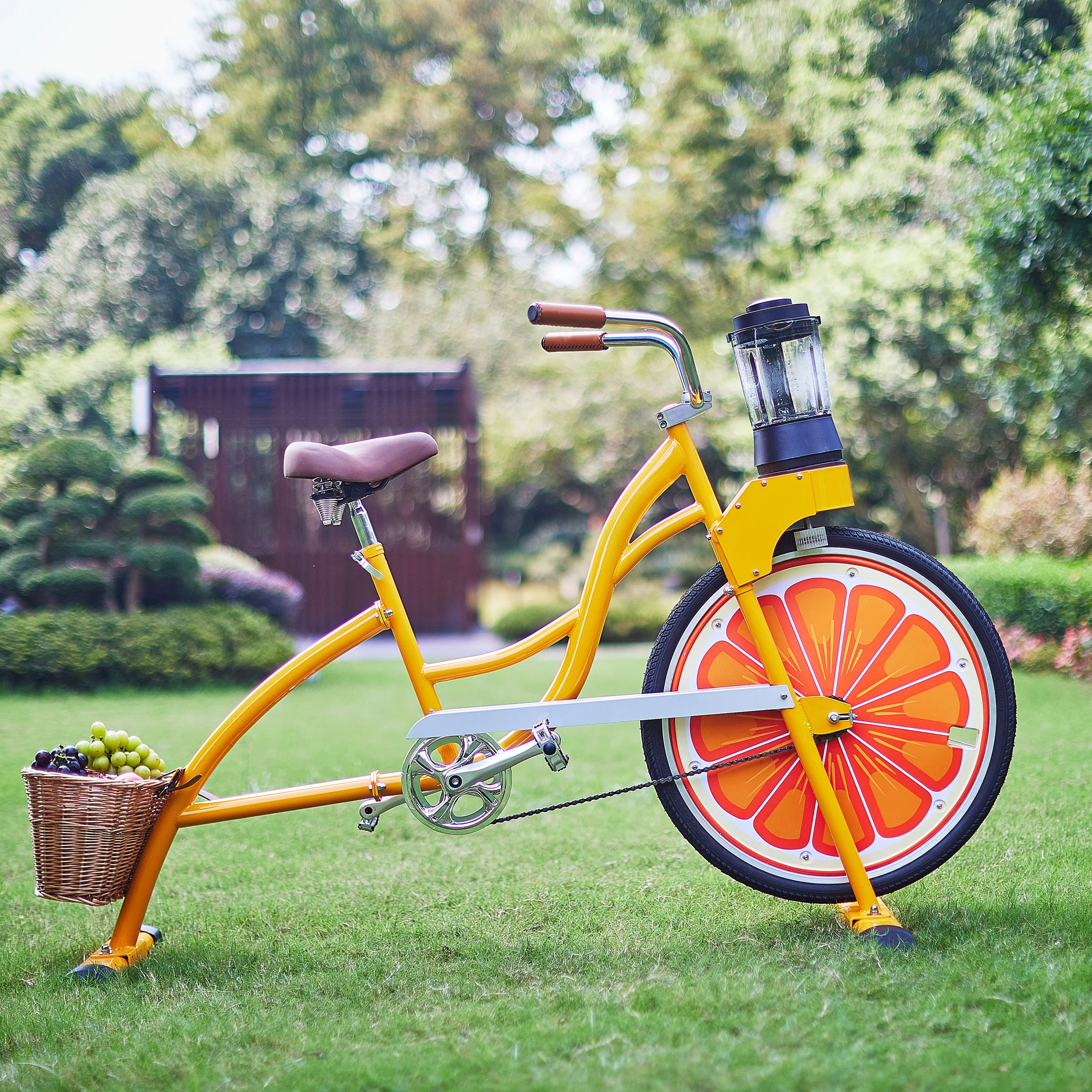 Smoothie Bike - EXI 26 Bicycle Blender for Fruit Juices