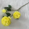 Giallo