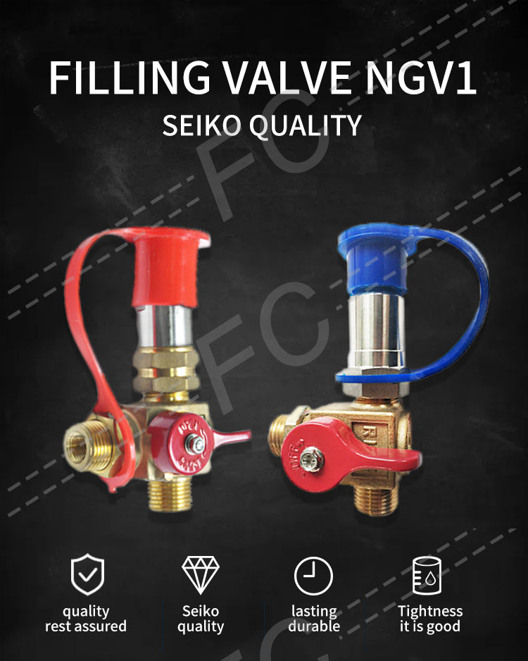 Fc Autogas Filling Nozzle Valve Ngv1 Cng Filling Valve For Car Gnc Fill Valve Buy Filling