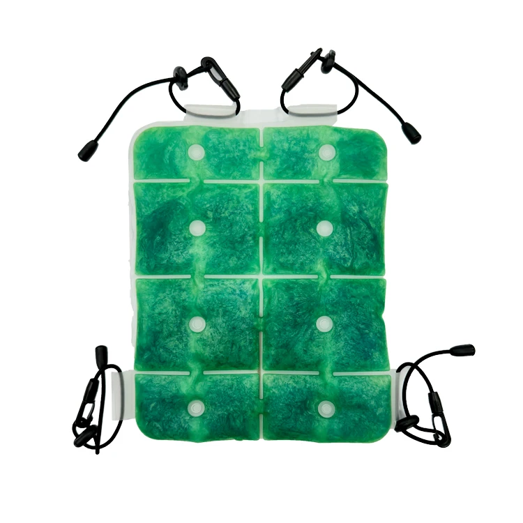 Trending Products 2024 New Arrival Custom Reusable Pcm Lunch Box Backpack Cooler Pad