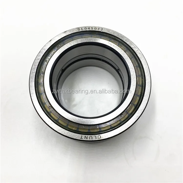 Full Complement Cylindrical Roller Bearing SL04 5019 PP SL04 5020 PP Bearing