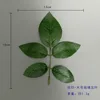 Large Five-Petal Rose