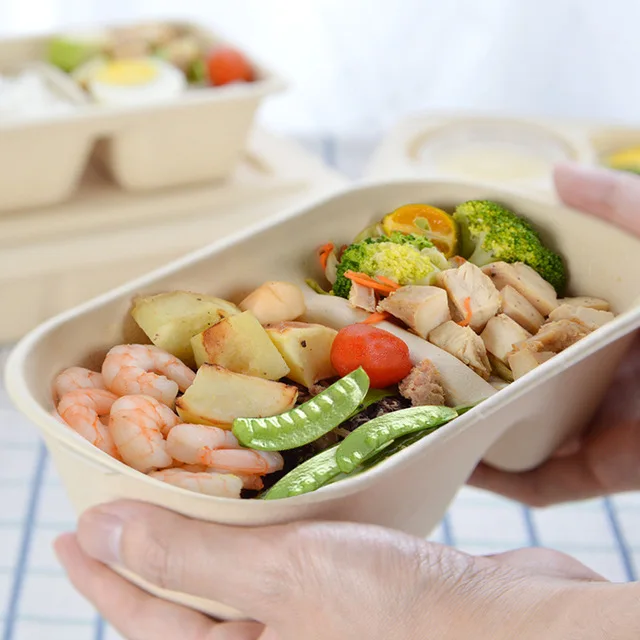 Biodegradable Food Container Degradable Disposable Lunch Bento Box  Cardboard Lunch Box Microwave Paper Plate Dish Restaurant Serving Supplies  Customized Size Manufactory China Manufacturer & Factory