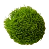 Verde chiaro