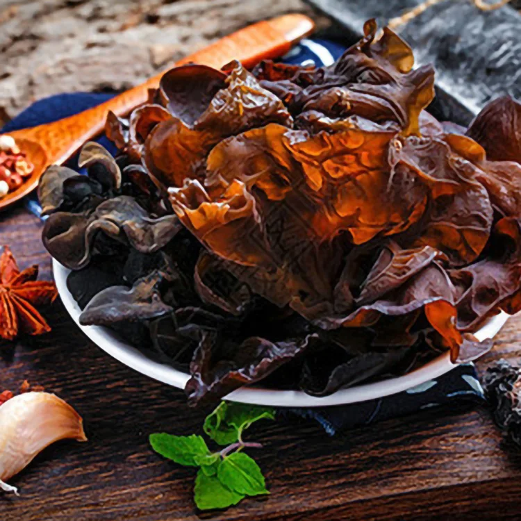 edible fungus