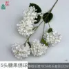Hortensia Candy de 5 cabezas HN Blanca