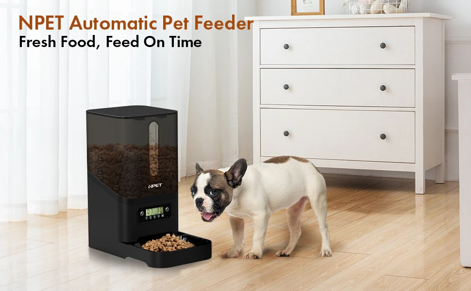 Remote Timing Control One Click Feeding Smart 6l Pet Feeder For Cat And