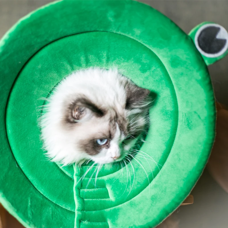 Новый дизайн милые трафареты для домашних животных Елизаветы воротник