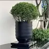 Estilo 6