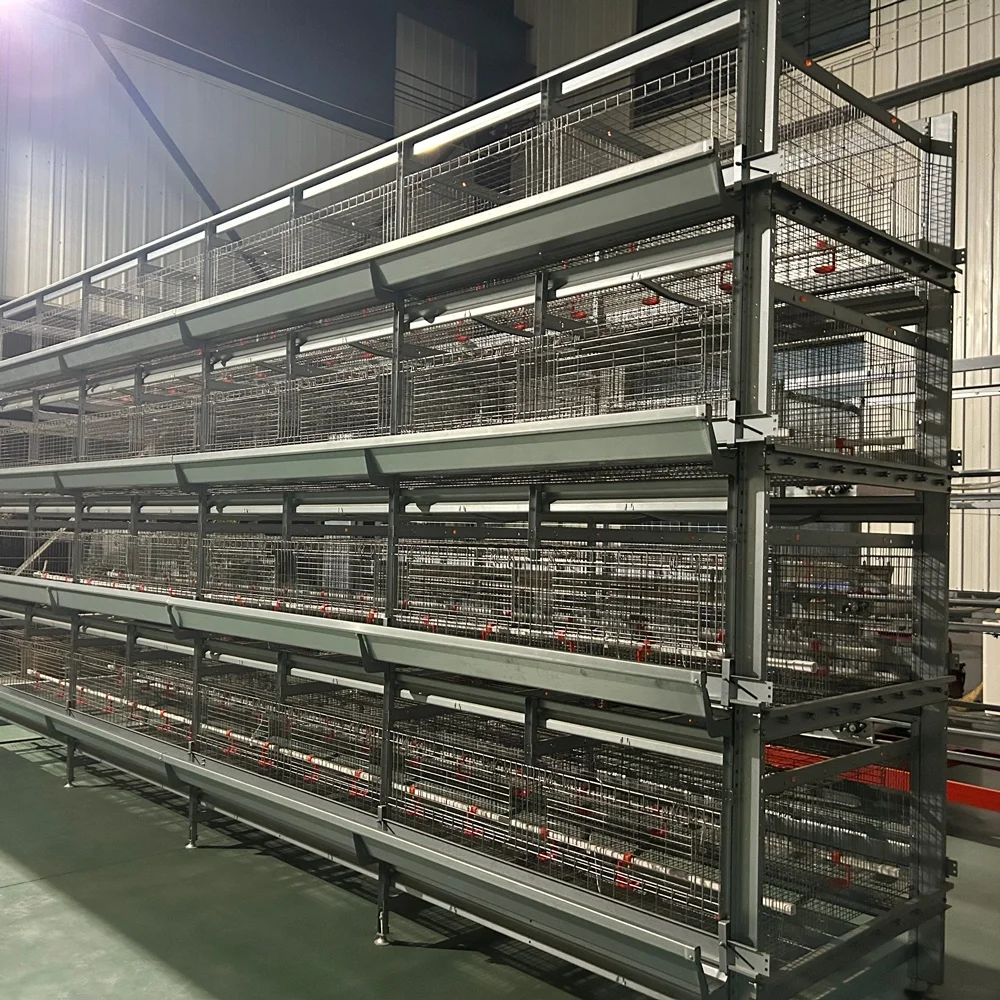 Factory Price Broiler Chicken Farm Automatic Feeder Pull-Out Slat Automated Harvesting Broiler Chicken Cages for Sale