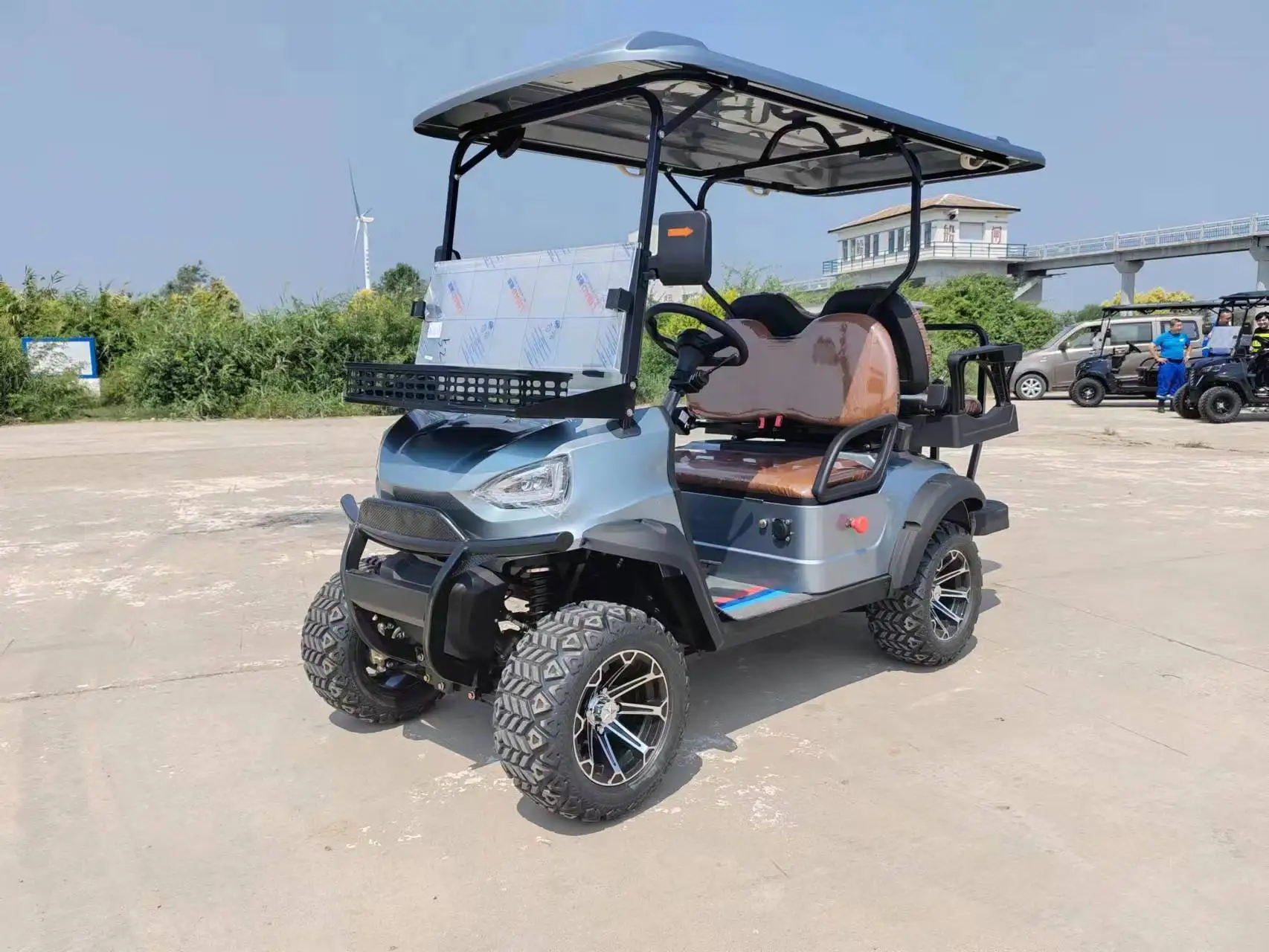 Custom Wholesale Gasoline Electric Golf Cart Golf Buggy Golf Car Buy Electric Golf Cart,Golf