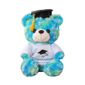 Wholesales Custom Cute Graduation Gift Bear Graduation Teddy Bear