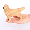 2267 Chien Golden Retriever