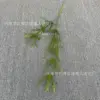 Bambú Pico Verde Hierba 130cm