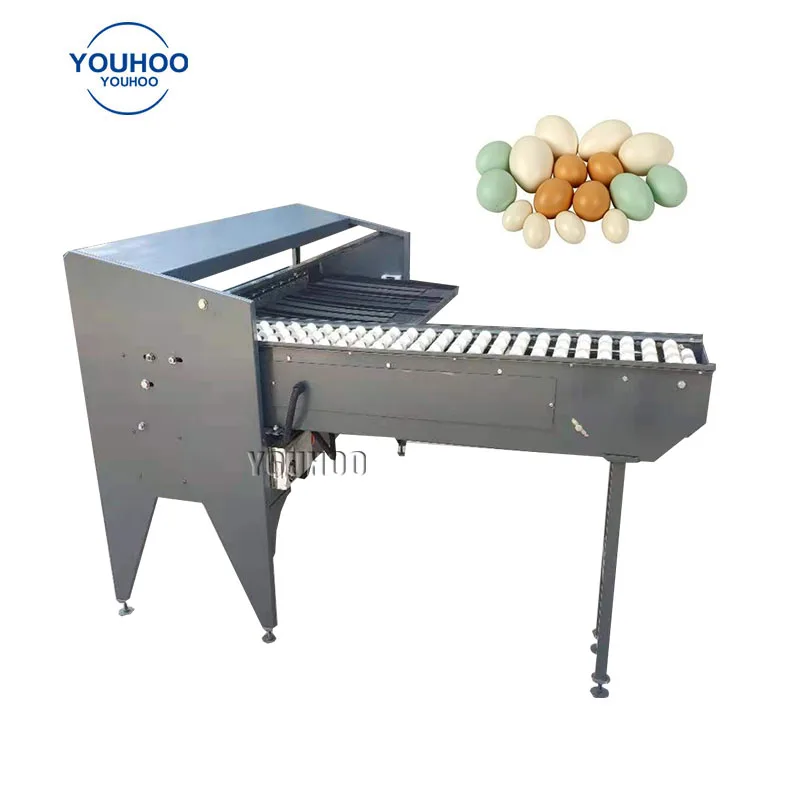 Industrial Small Egg Scale Classification Machine Egg Classifier Weight Grader Sorter Machine Cost