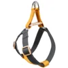 BROWN GREY Harness