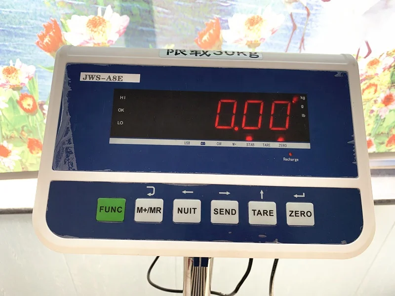 ZDE Low Price Multi Applications Weighing Scale Roller Conveyor Scale Checkweigher