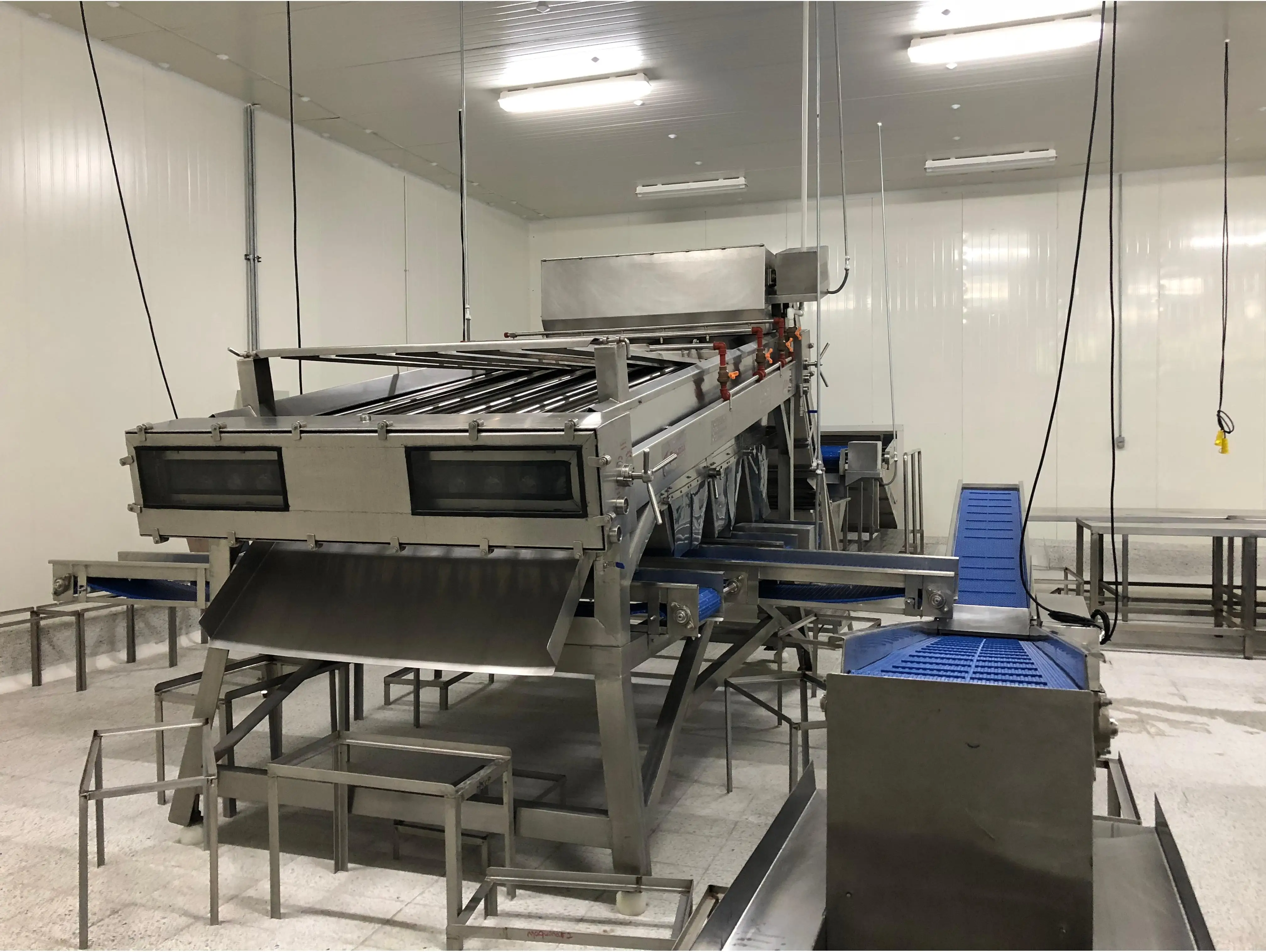 High Accuracy Automatic Fresh Fish Prawn 12 Roller/18 Roller Sorter Machine Shrimp Size Grading Machine