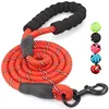 Dog Leash 06